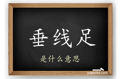 垂线足