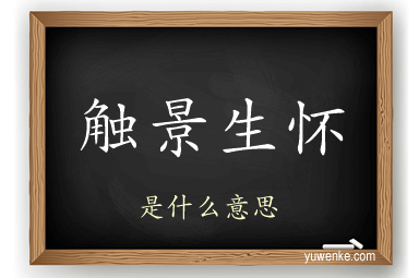 触景生怀