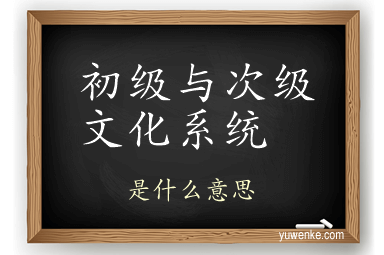 初级与次级文化系统