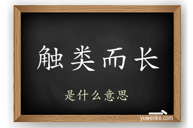 触类而长