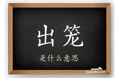 出笼