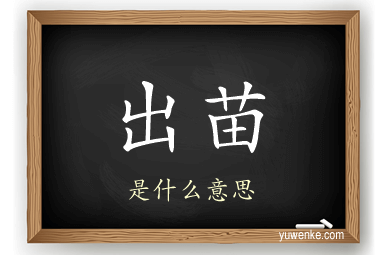 出苗