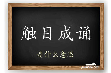 触目成诵