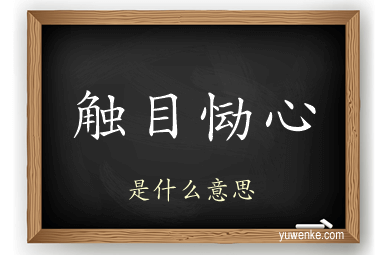 触目恸心
