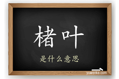 楮叶