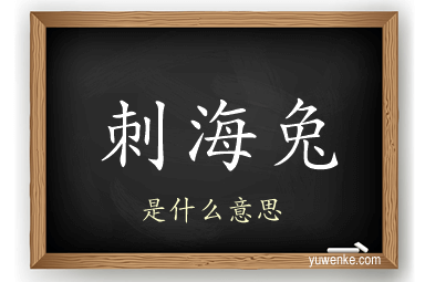 刺海兔