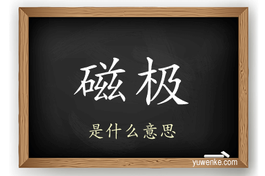 磁极