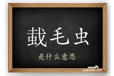 蛓毛虫