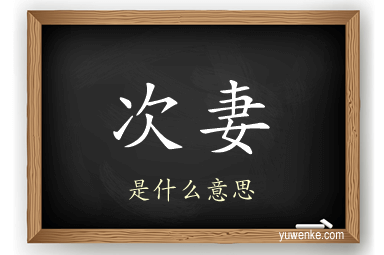 次妻