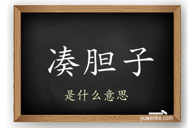 凑胆子