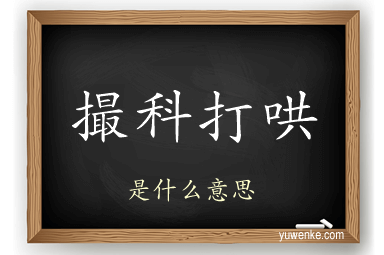 撮科打哄