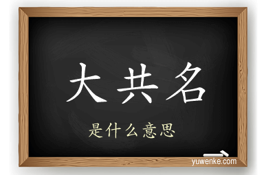 大共名