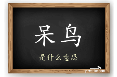 呆鸟