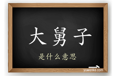 大舅子
