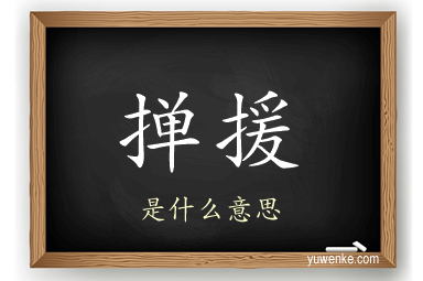 掸援