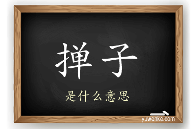 掸子