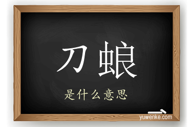 刀蜋