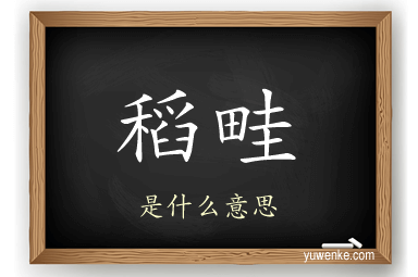 稻畦