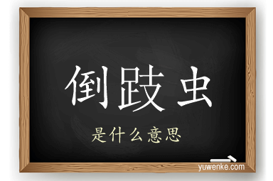 倒跂虫
