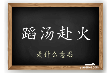 蹈汤赴火