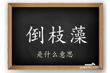 倒枝藻