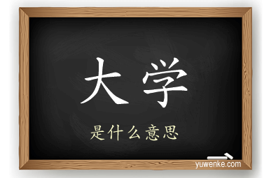 大学