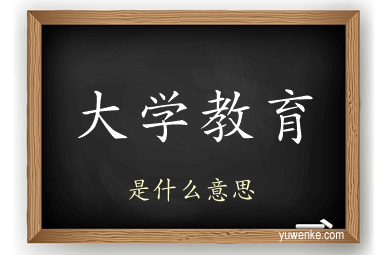 大学教育