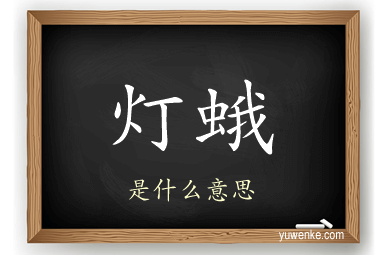 灯蛾