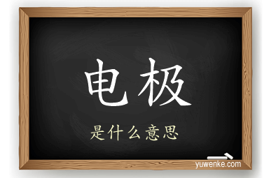 电极
