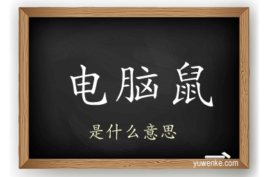 电脑鼠