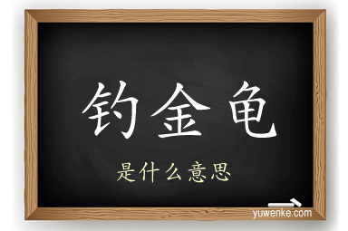钓金龟