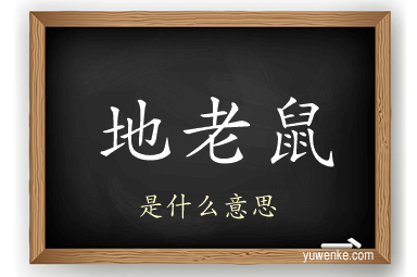 地老鼠