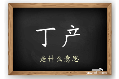 丁产