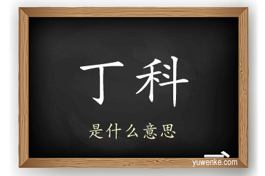 丁科