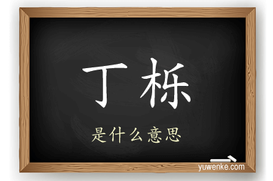 丁栎