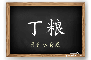 丁粮