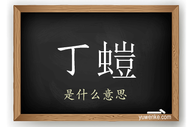 丁螘