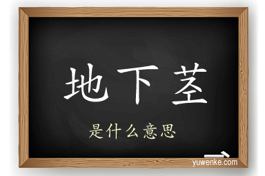 地下茎
