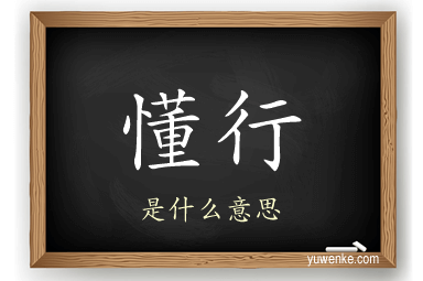 懂行