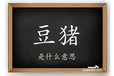 豆猪