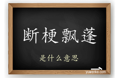 断梗飘蓬