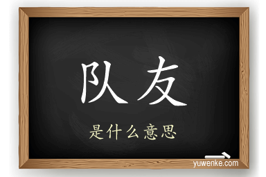 队友
