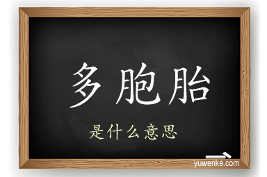 多胞胎