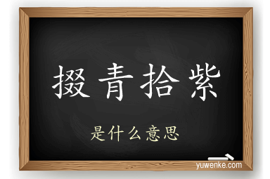 掇青拾紫