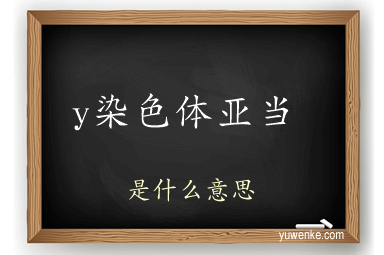 y染色体亚当