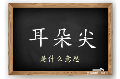 耳朵尖