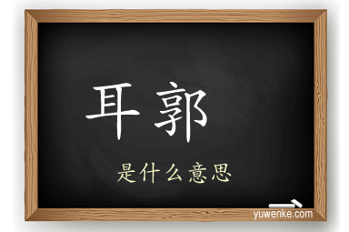 耳郭	