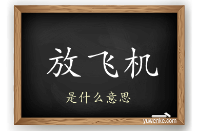 放飞机