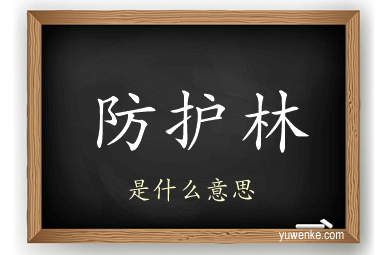 防护林