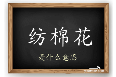 纺棉花